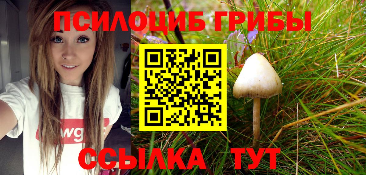Псилоцибиновые грибы Magic Shrooms  Вход с VPN  Белая Калитва  Псилоцибиновые грибы ЛСД 